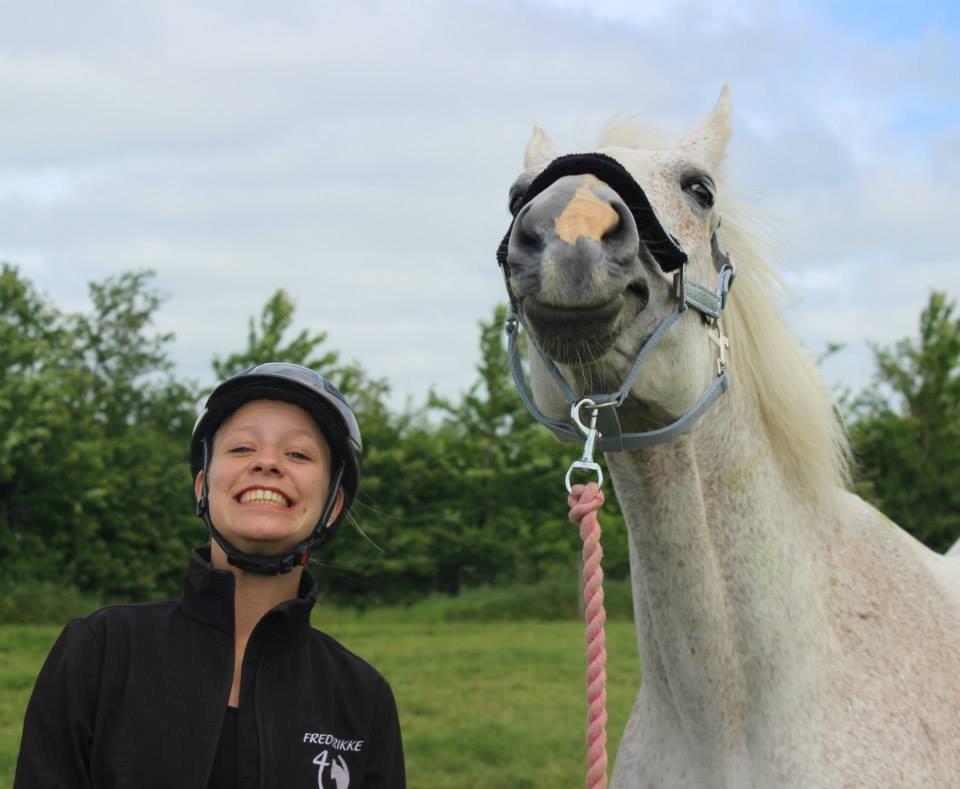 Dansk Varmblod Backersdal´s Lollipop [Min stjerne] billede 16
