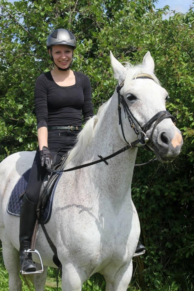 Dansk Varmblod Backersdal´s Lollipop [Min stjerne] billede 18