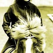 Islænder Prati från Sjöstugan