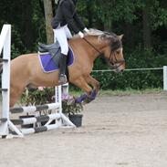 Anden særlig race Tarzan