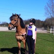 Anden særlig race Tarzan