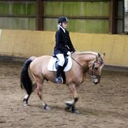 Anden særlig race Tarzan