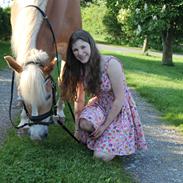 Haflinger Starlett