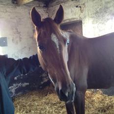 Traver Kind of magic