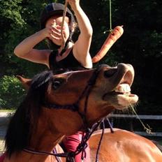 Anden særlig race La-Paloma