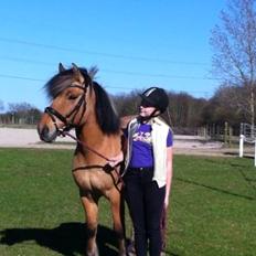 Anden særlig race Tarzan