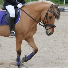 Anden særlig race Tarzan