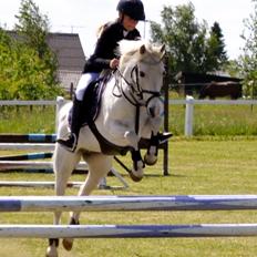 Anden særlig race Duchess (Solgt og mega savnet) <3