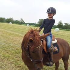 Anden særlig race Mr. Darwin