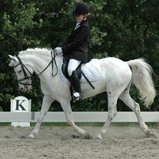 Anden særlig race - Speedo <3