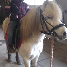 Anden særlig race Bonanza