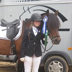 New Forest Horsemosens David May**B-pony**