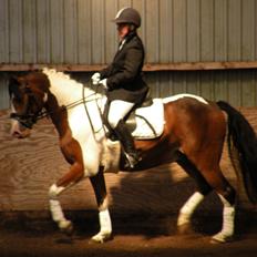 Anden særlig race Felix