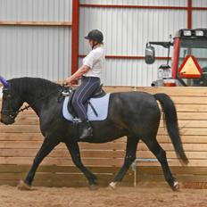 Oldenborg Hannibal  død