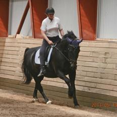 Oldenborg Hannibal  død