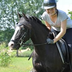 Anden særlig race Blue Eye´D Girl - A pony SOLGT!