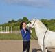 Anden særlig race Pegasus SOLGT