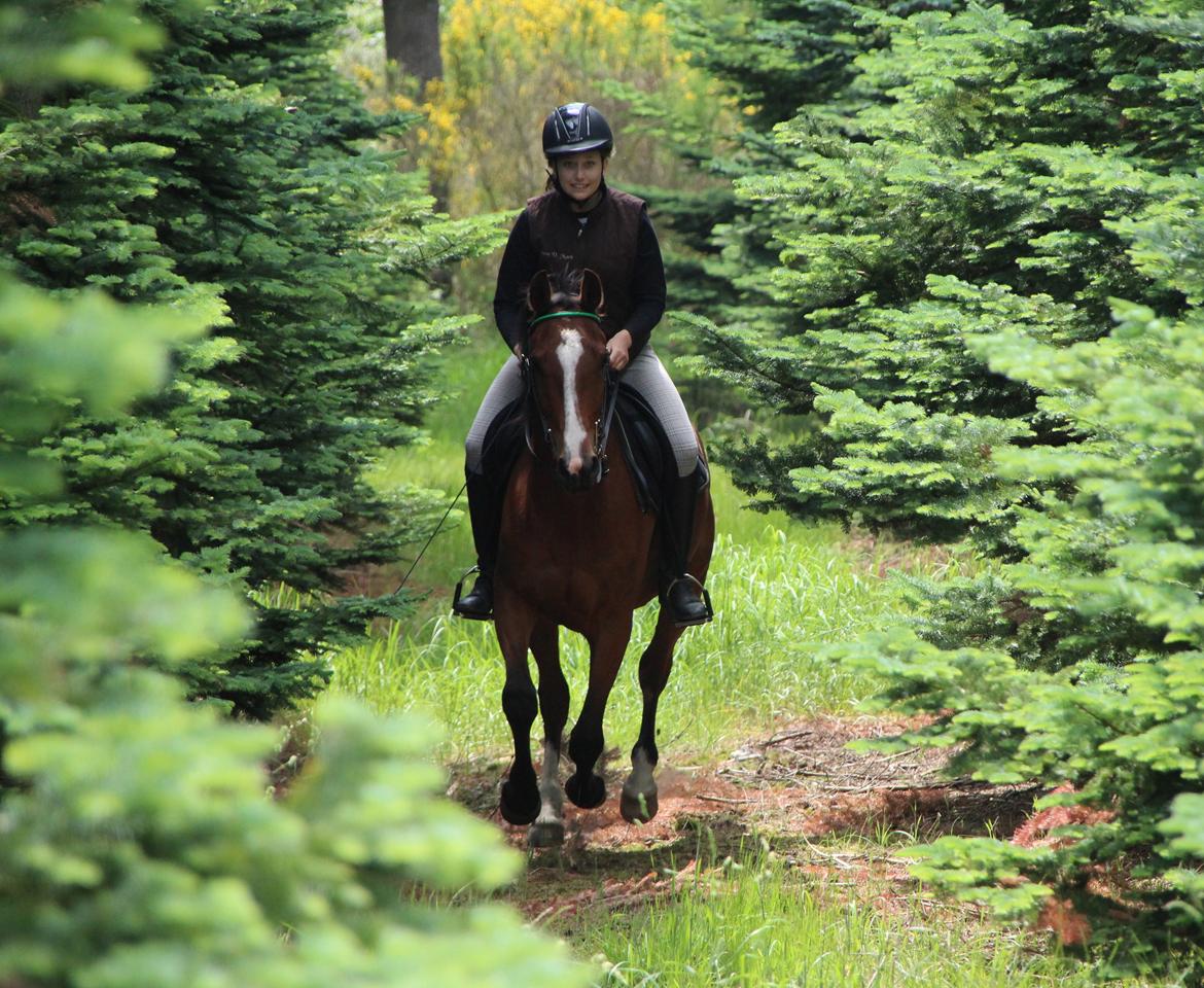 Anden særlig race Atento M.A.T.C.H - Wroooooom, så så man lige os! - Juni 2013 billede 14