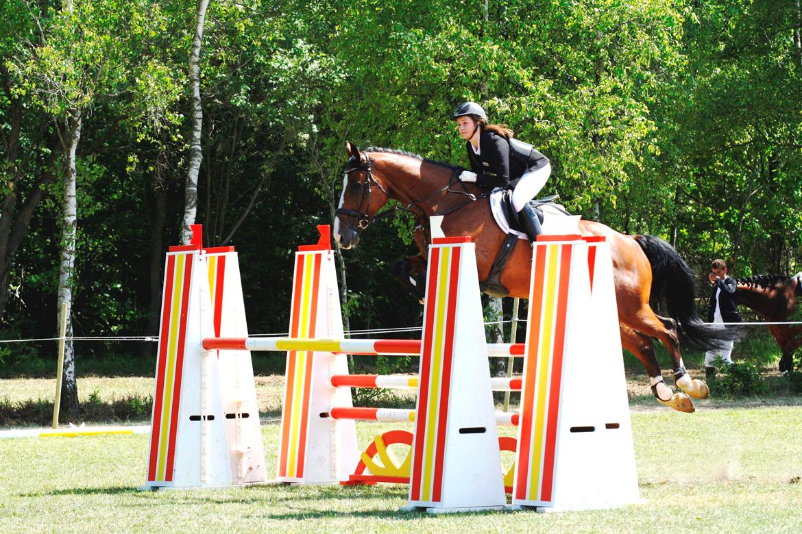 Holstener MB's Solution - Brande Sportsrideklub LA** billede 13