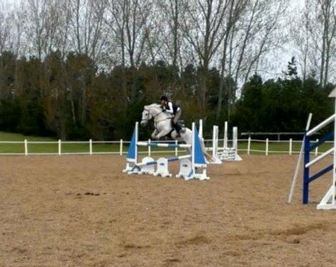 Irsk Sportspony Lancelot - Spring i OHR billede 10