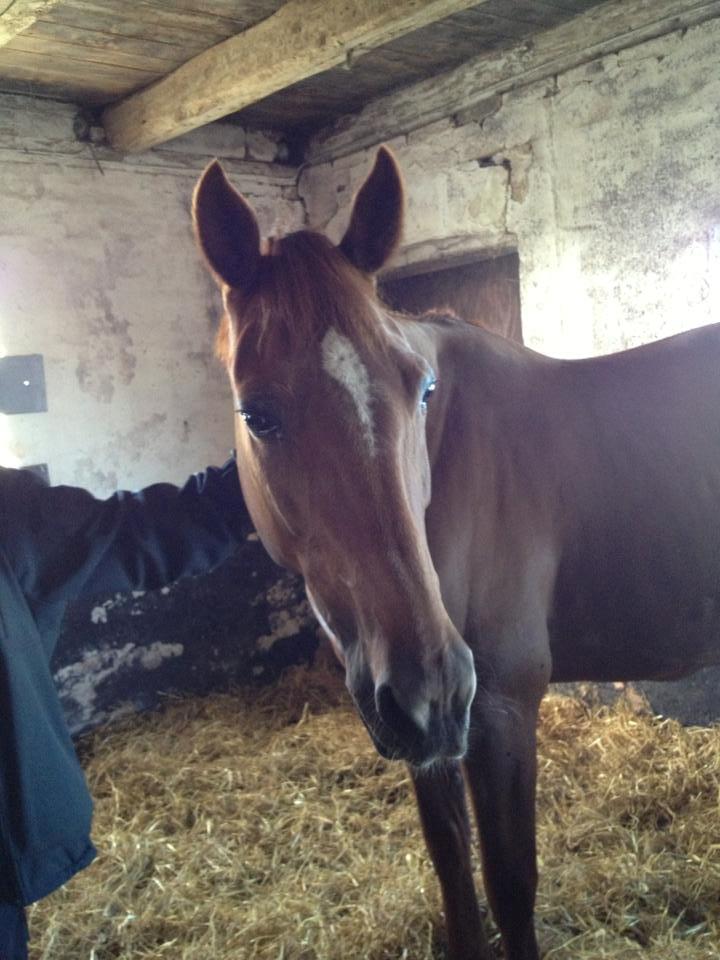 Traver Kind of magic billede 1