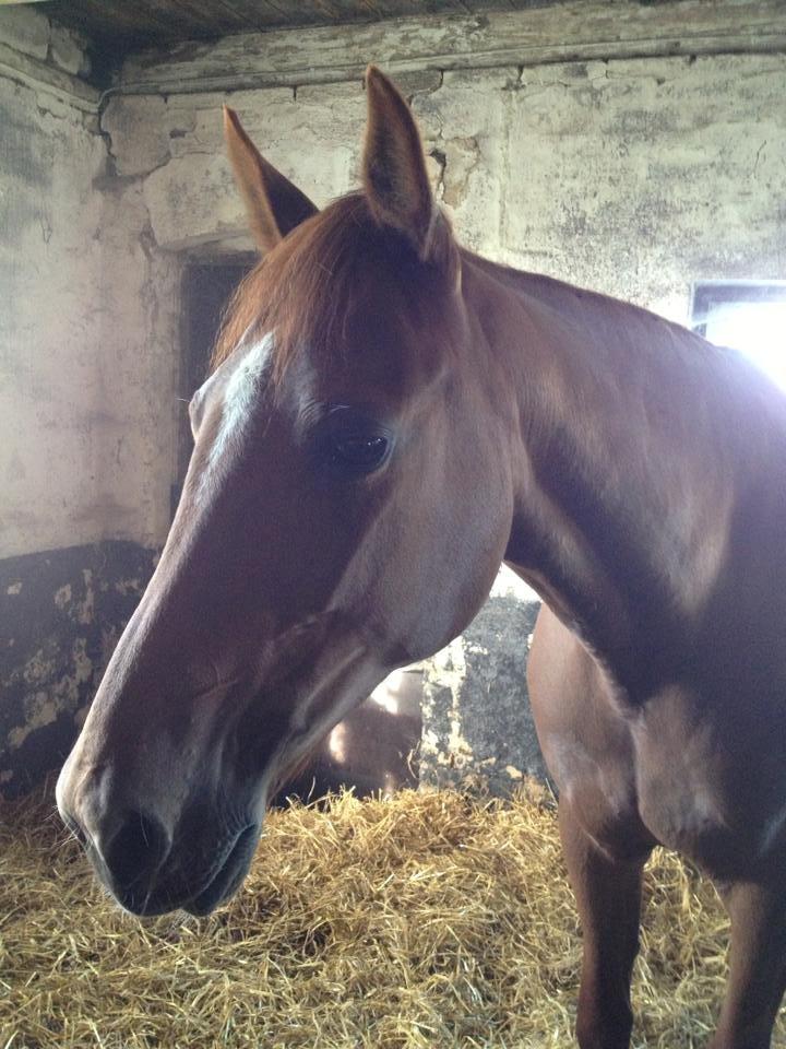 Traver Kind of magic billede 3