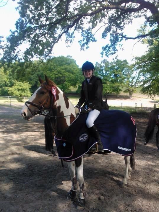 Hollandsk Sportspony Monique (For sale) - 1 plads til vores første c-stævne!! <3 billede 6