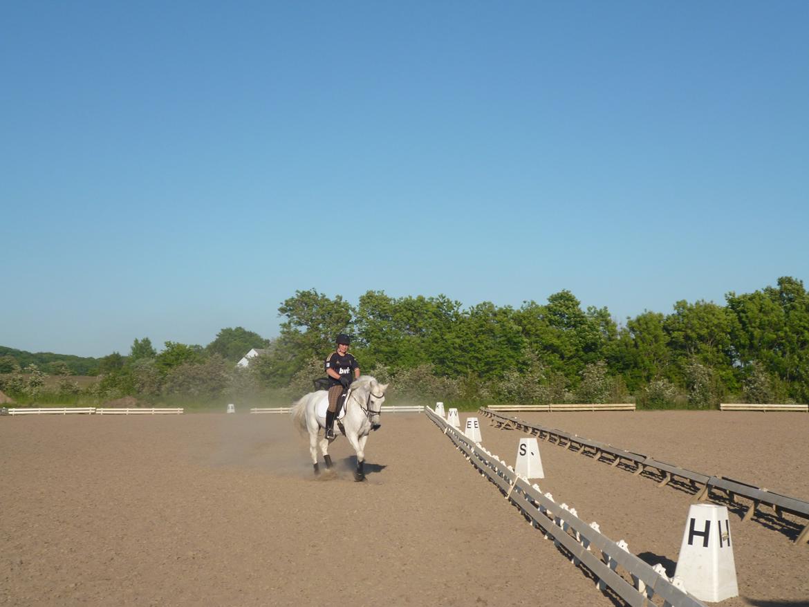 New Forest Roland *Savnet* - Dressur træning d.11/6-2013
-Min skønne dressur stjerne!. :-* <3 <3 billede 19