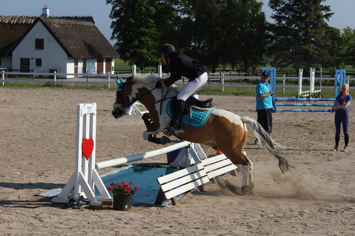 Pinto Stald poppels Hollywood Holy-man R.I.P MIN ENGEL billede 12