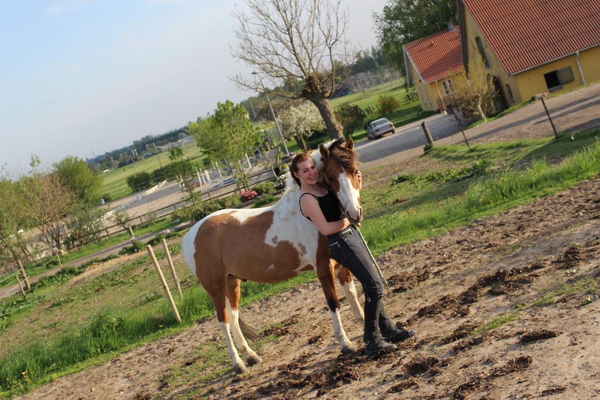 Pinto Stald poppels Hollywood Holy-man R.I.P MIN ENGEL - Et billed siger mere end tudsind ord <3 billede 4