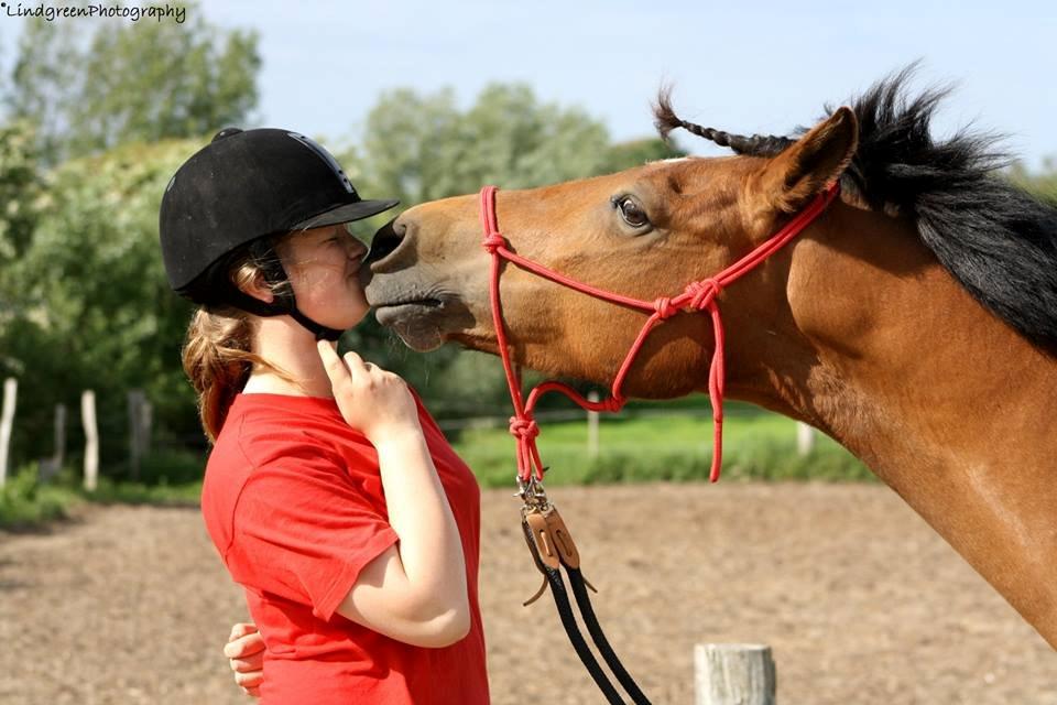 New Forest Vangsgaard's Vanity R.I.P Elsket og Savnet! <3 - Et kærligt kys! Foto: Lindgreen Photography  billede 9