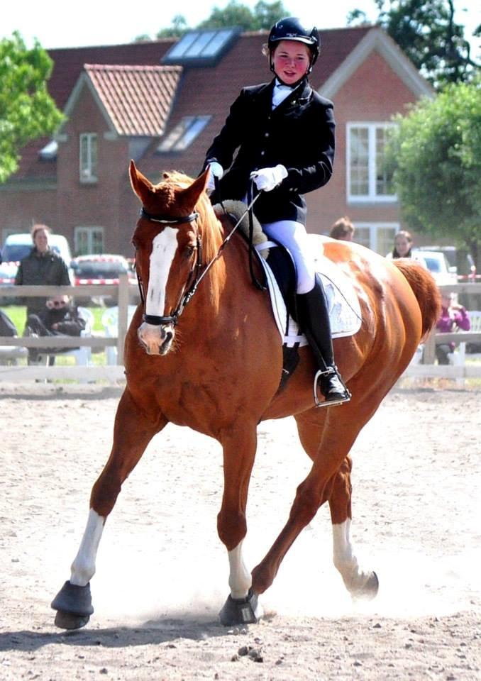 Dansk Varmblod Elbækgaards Roska <3 - Foto: Nadja Larsen billede 19