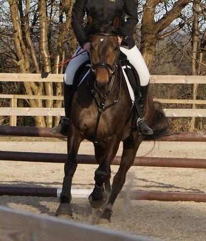 Anden særlig race Miss Fine Bine - <3 billede 13