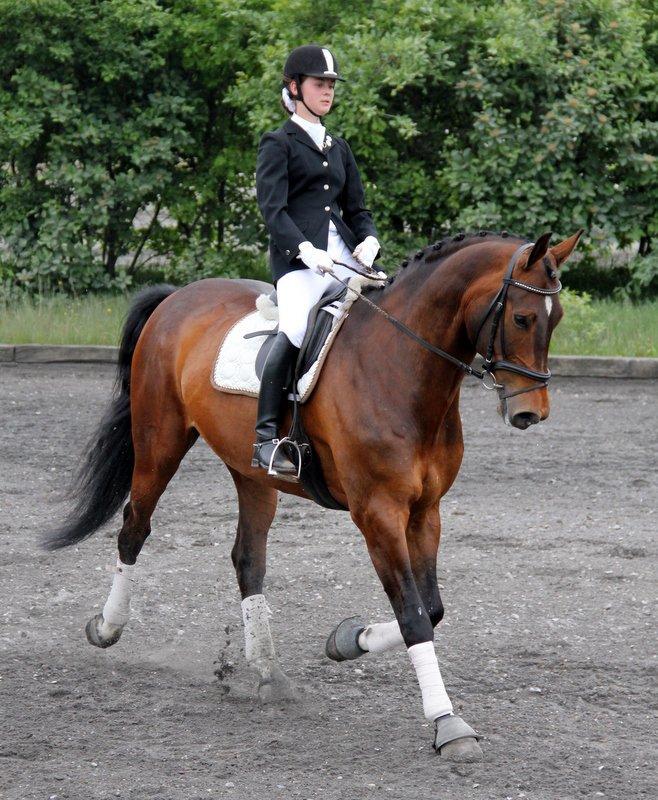 Holstener Monokrat Essenbæk - Monty - LB3 på Tronsøskolen, hvor vi red til 60,38% (Der blev dømt meget lavt), og vi fik en 1.plads :) billede 11