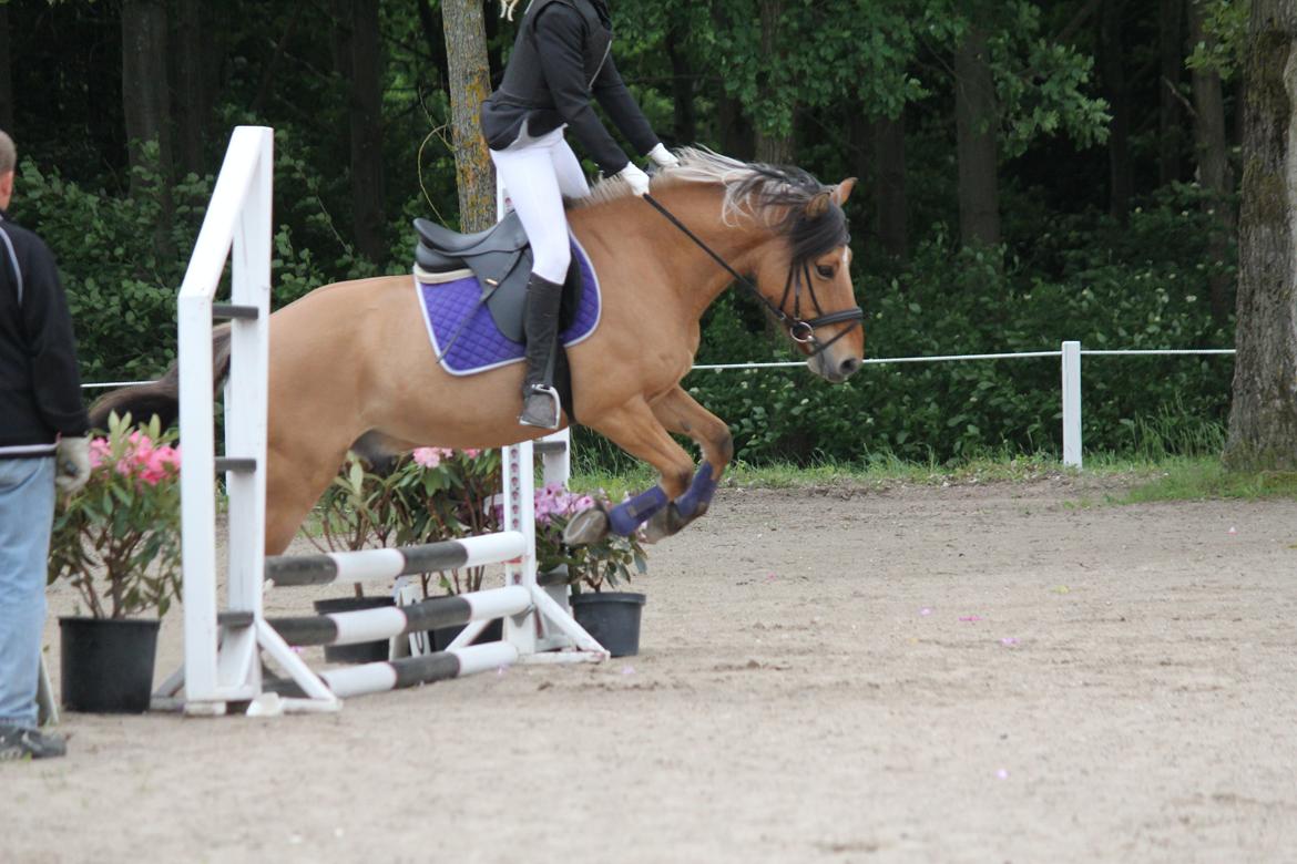 Anden særlig race Tarzan - Han kan springe :) billede 4