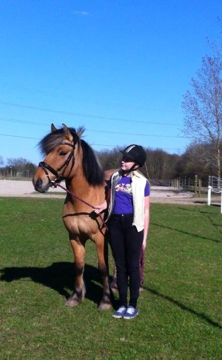 Anden særlig race Tarzan - Modelbilleder :) billede 3