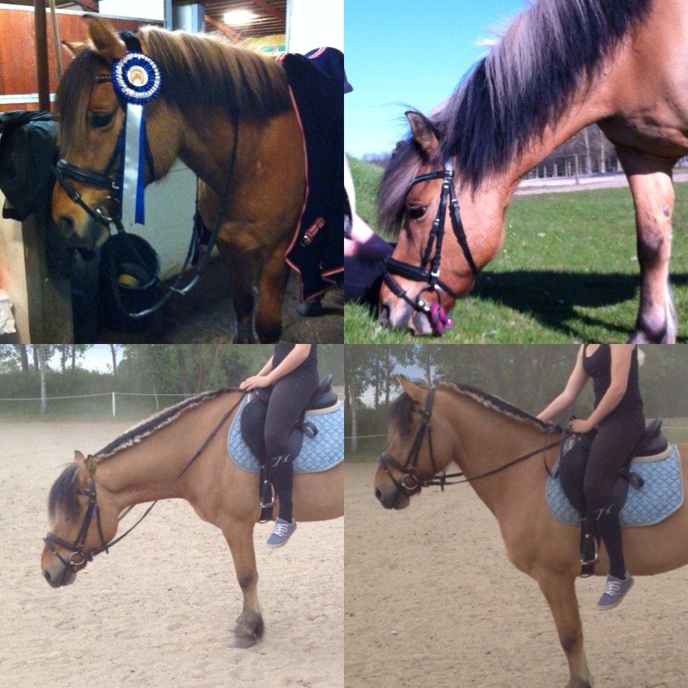 Anden særlig race Tarzan - Så er han blevet klippet...  billede 9