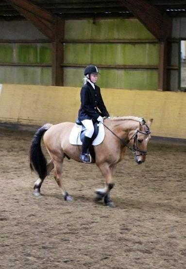 Anden særlig race Tarzan - Han kan dressur :) billede 5