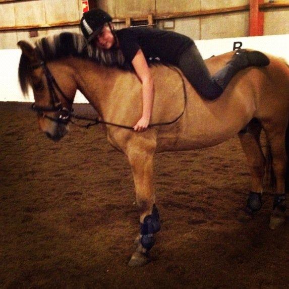 Anden særlig race Tarzan - Han elsker at hygge :) billede 7