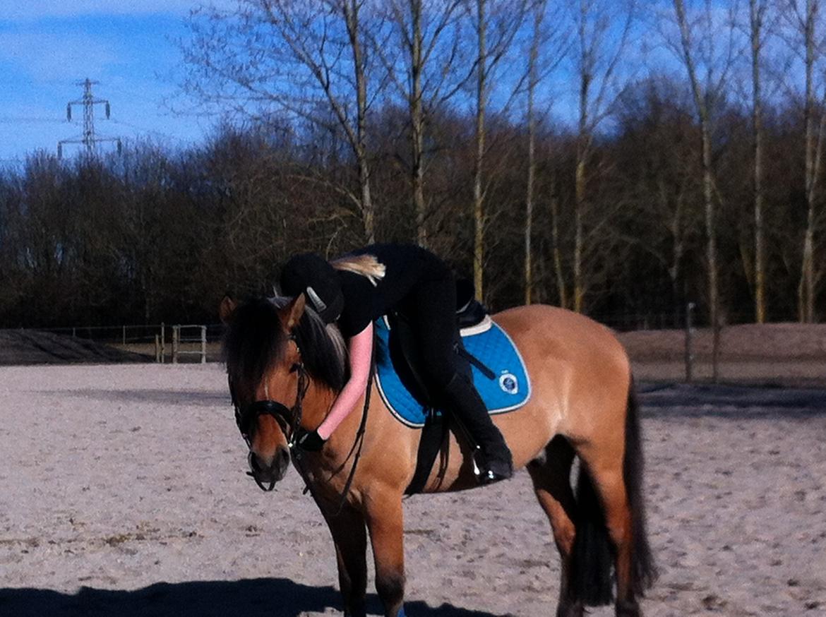 Anden særlig race Tarzan - Tak fordi at i kiggede :) billede 10