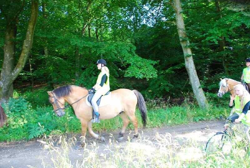 Anden særlig race Lukas - skovtur billede 10