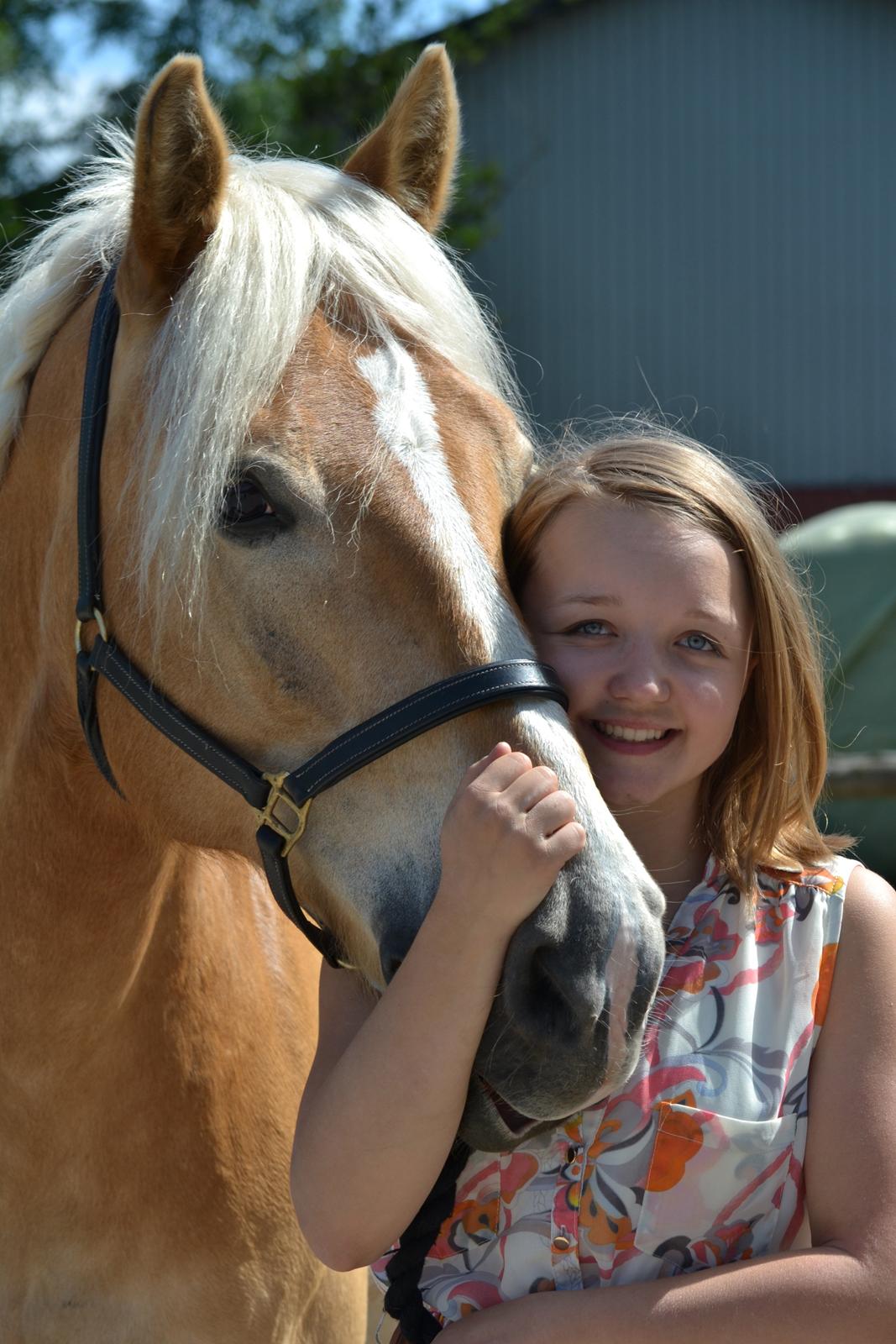 Haflinger Avalon - foto: Line Hvid billede 14