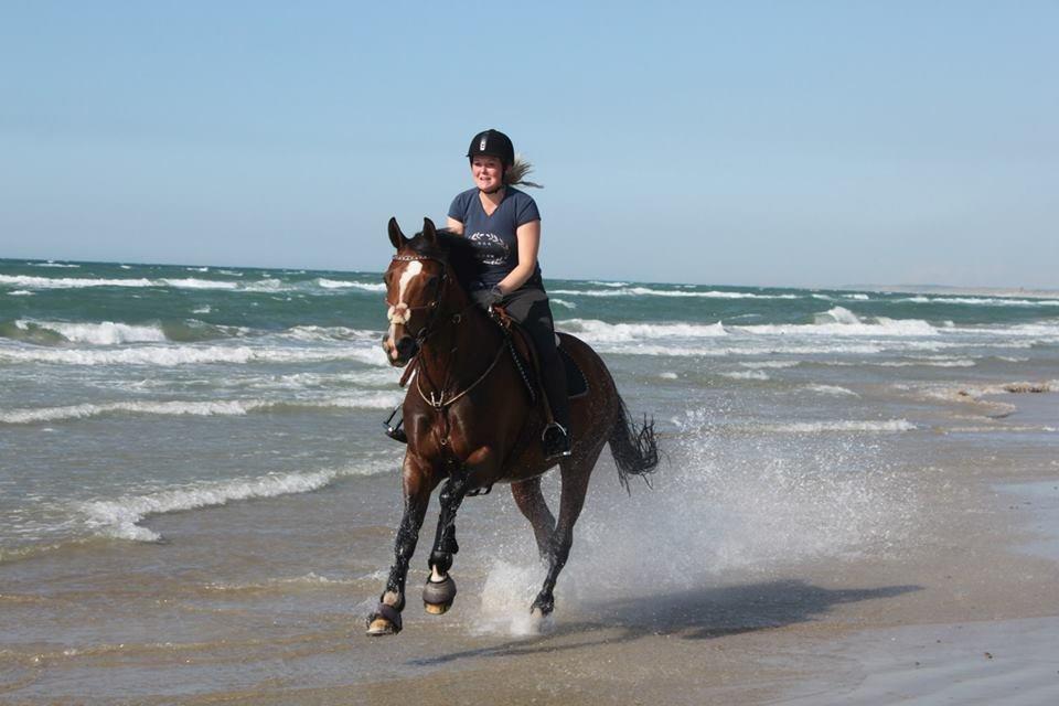 Zangersheide CHEGIRA ALFARVAD Z - Rødhus strand 9/6-13
Fotograf: Sofie Vester billede 15