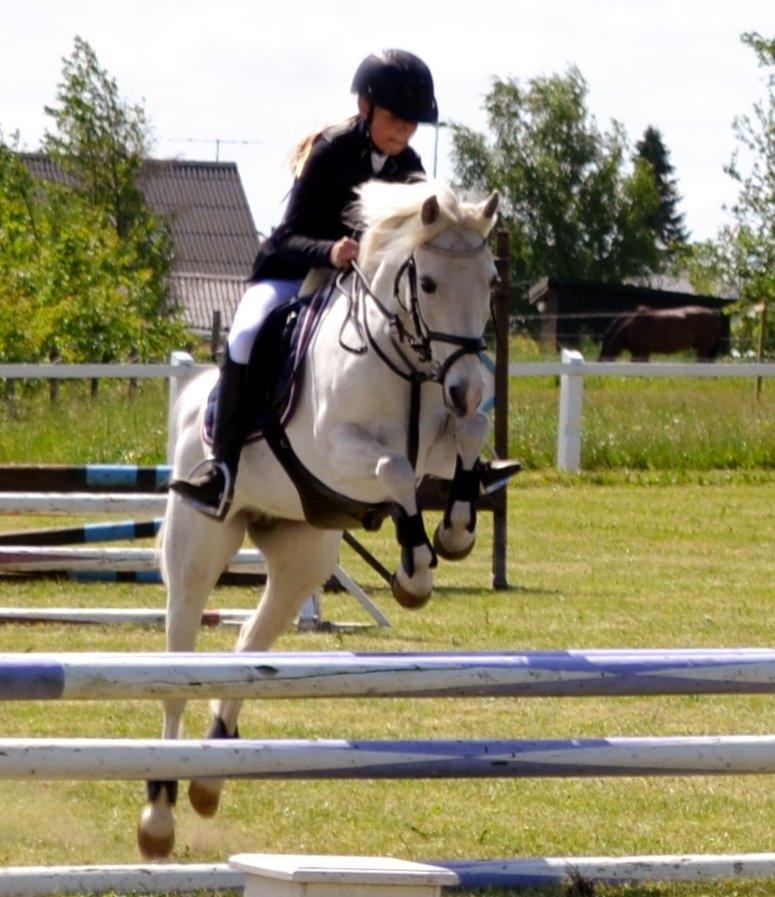 Anden særlig race Duchess (Solgt og mega savnet) <3 - fotograf: Viktoria Brix billede 3