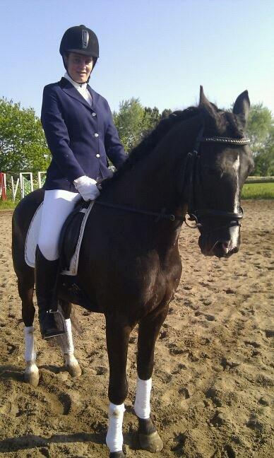 Anden særlig race Armani - Stævne i sommers  billede 5