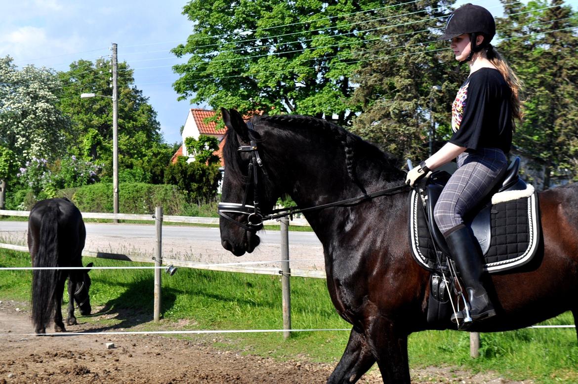 Frieser Luis Rustong billede 5