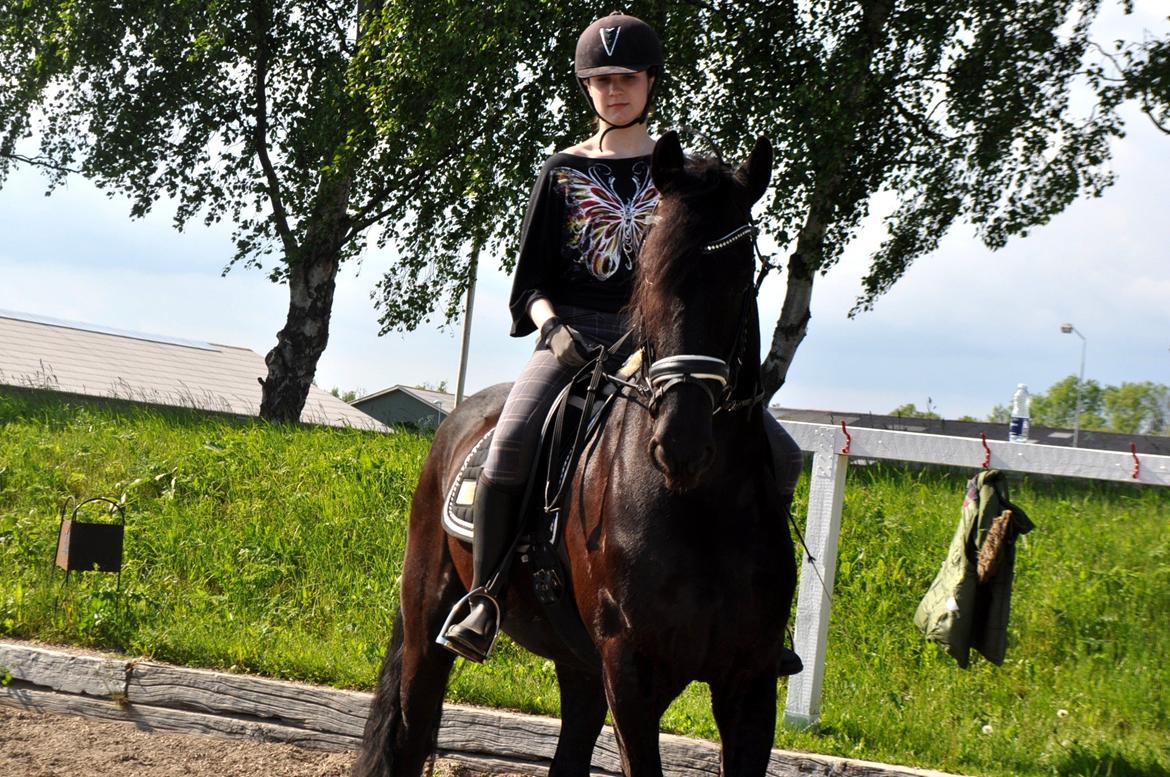 Frieser Luis Rustong billede 7