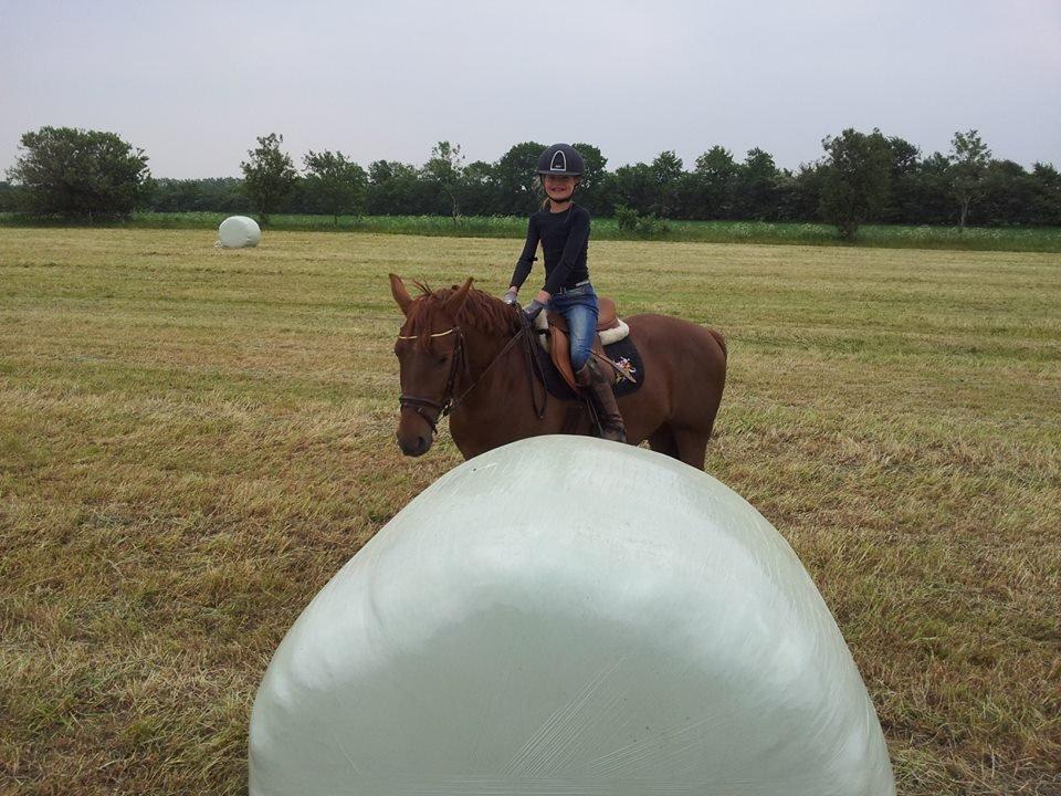 Anden særlig race Mr. Darwin billede 6