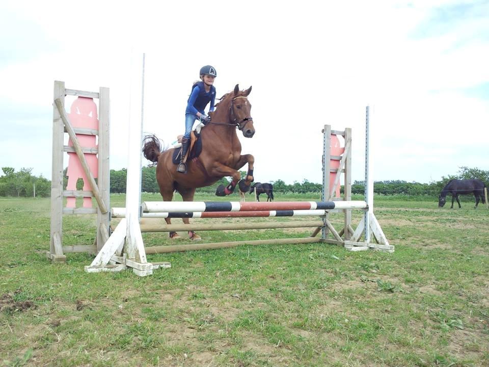 Anden særlig race Mr. Darwin - SPRIIIING!! <3 billede 18