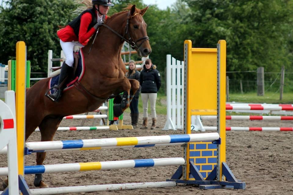 Anden særlig race Mr. Darwin - Hans aller første stævne nogensinde :-) billede 9
